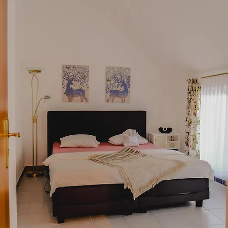 Terrace Apartment Near Volksoper And City Centre Wien Exterior foto