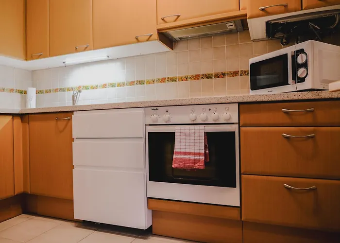 Terrace Apartment Near Volksoper And City Centre